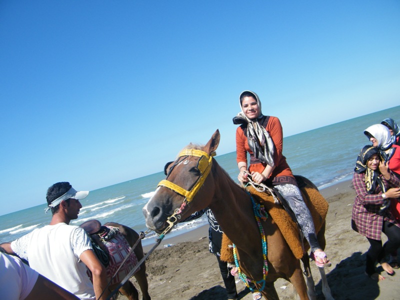 اسب سواری در کنار ساحل 